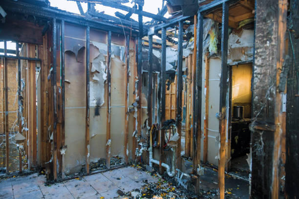 Professional Smoke Damage Removal technician working in West Chicago, IL